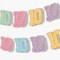 Big Dot of Happiness Preppy 10th Birthday Girl Garland Banner, Hello Double Digits Party Backdrop, 30 Feet of Cord, 15 Double-Sided Age 10 Pieces
